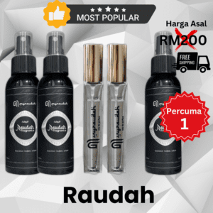 Set Raudah